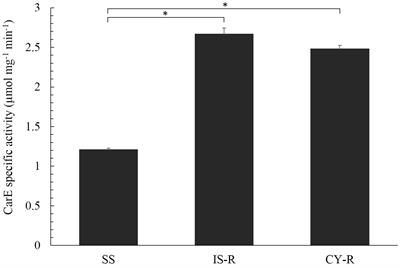 Functional Analysis of a Carboxylesterase Gene Associated With Isoprocarb and Cyhalothrin Resistance in Rhopalosiphum padi (L.)